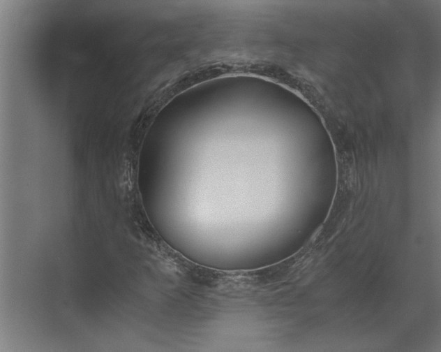 X0000073921253200608251540