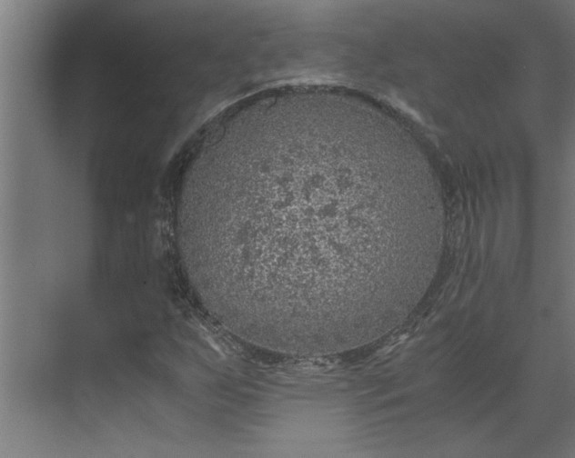 X0000073921255200608251540