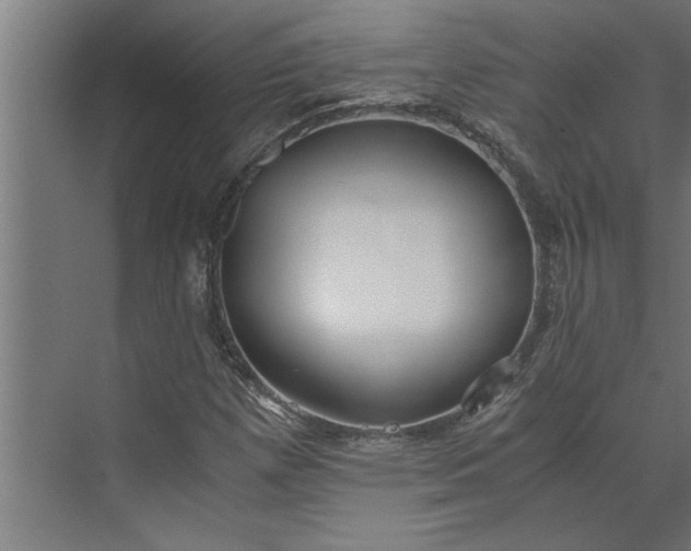 X0000073921257200608251540