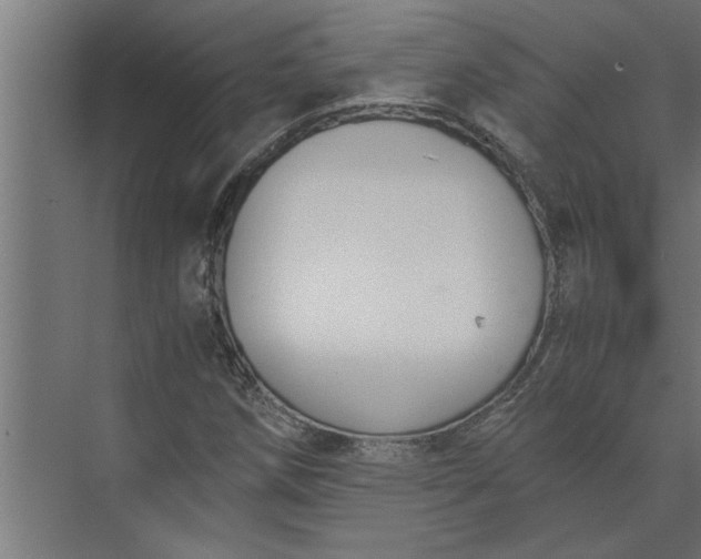 X0000073921258200608251540