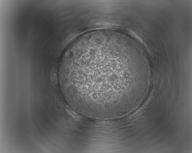 X0000073921259200608251540