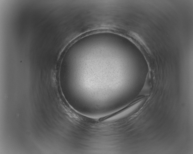 X0000073921260200608251540