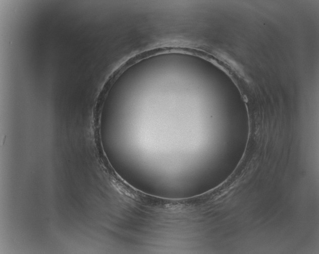 X0000073921264200608251540