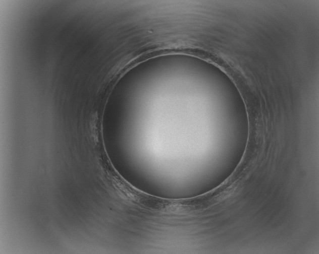 X0000073921265200608251540