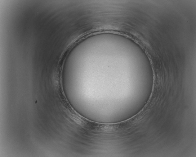 X0000073921266200608251540