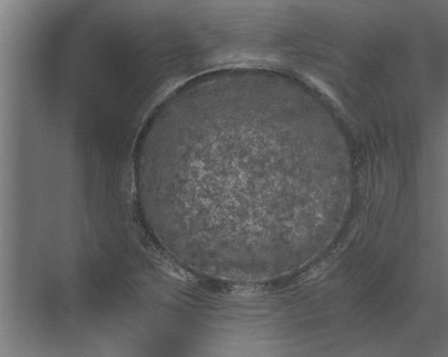 X0000073921267200608251540