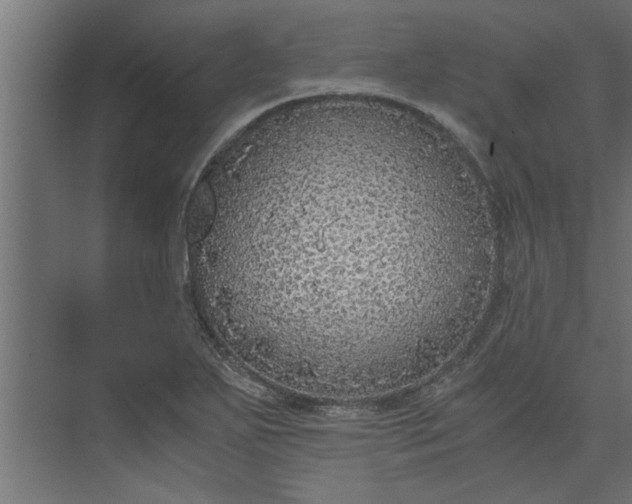 X0000073921271200608251540