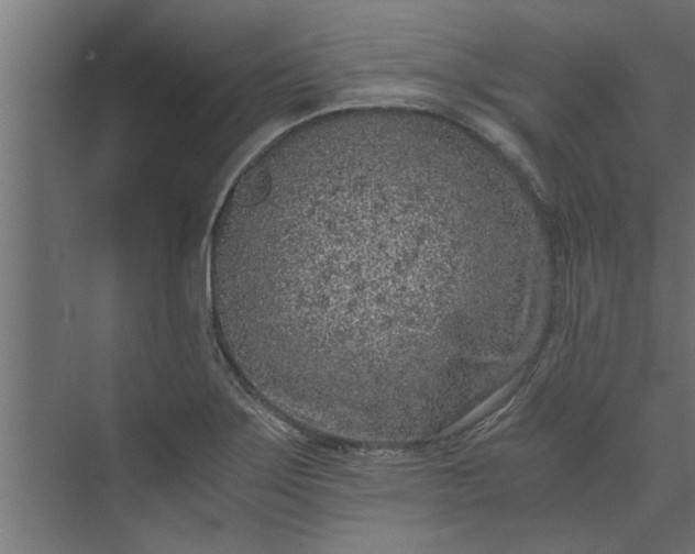 X0000073921275200608251540