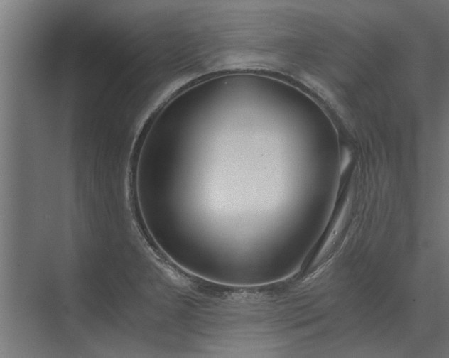 X0000073921277200608251540