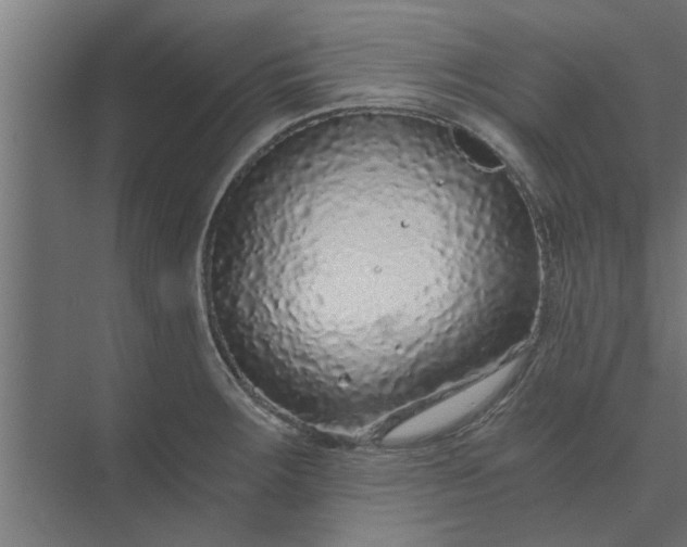 X0000073921283200608251540