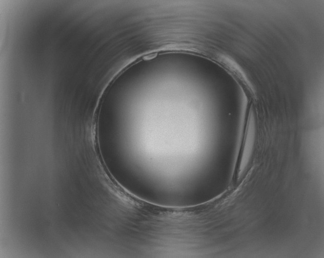 X0000073921284200608251540