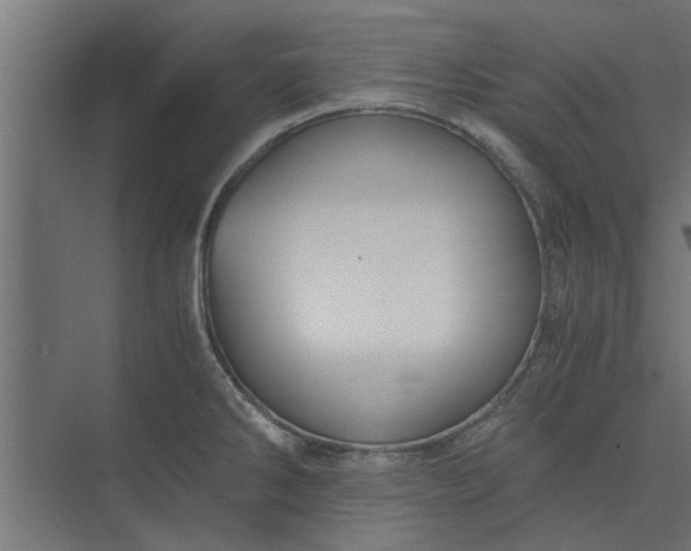 X0000073921286200608251540