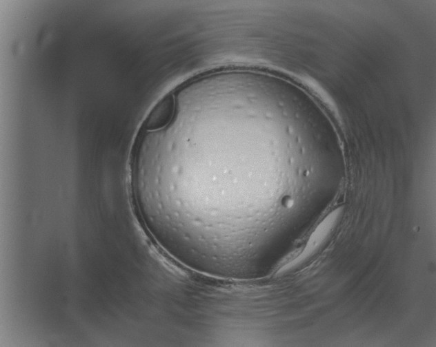 X0000073921287200608251540