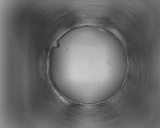 X0000073921290200608251540