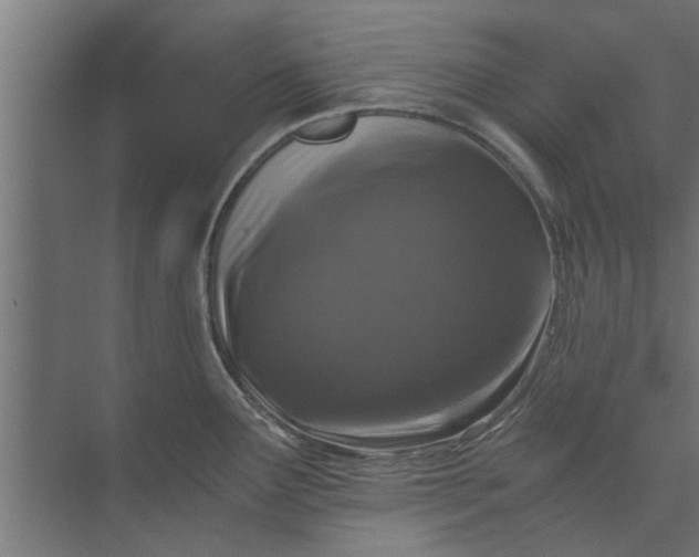 X0000073921291200608251540