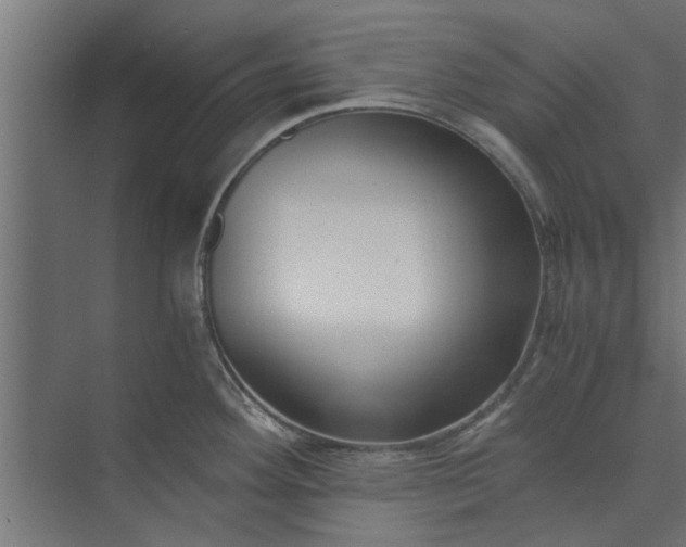 X0000073921292200608251539