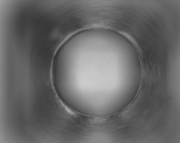 X0000073921294200608251539