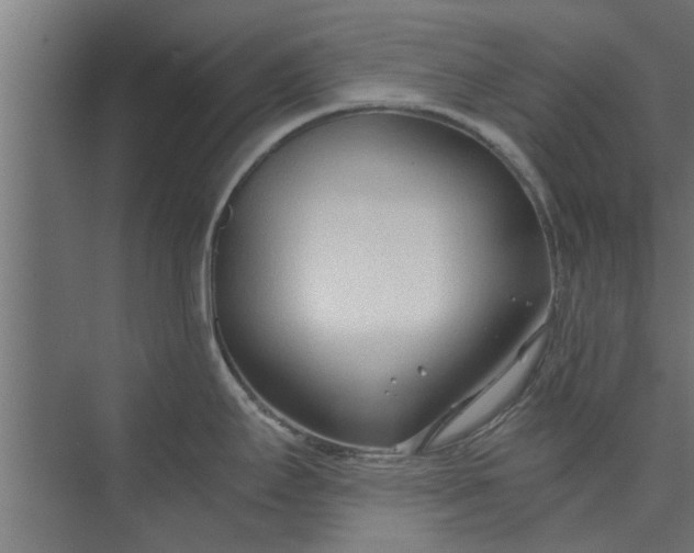 X0000073921295200608251539