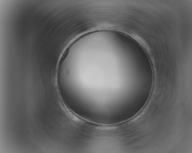 X0000073921296200608251539