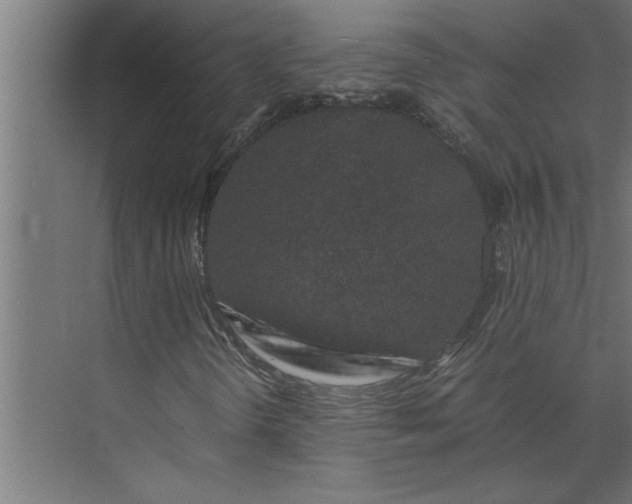 X0000073921298200608251539