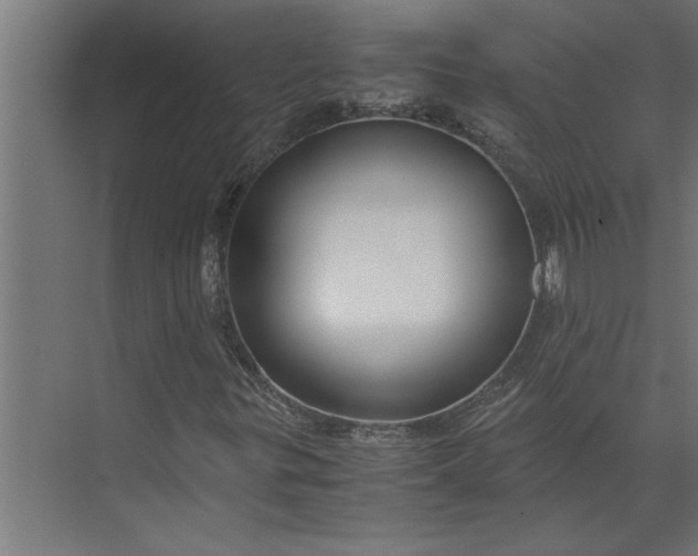 X0000073921299200608251539