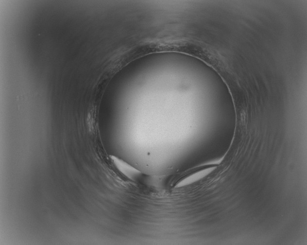 X0000073921300200608251539