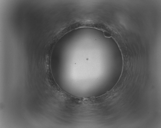 X0000073921301200608251539