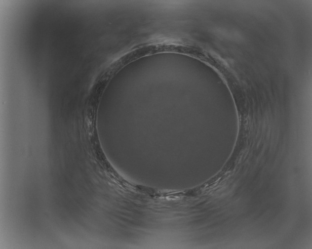 X0000073921303200608251539