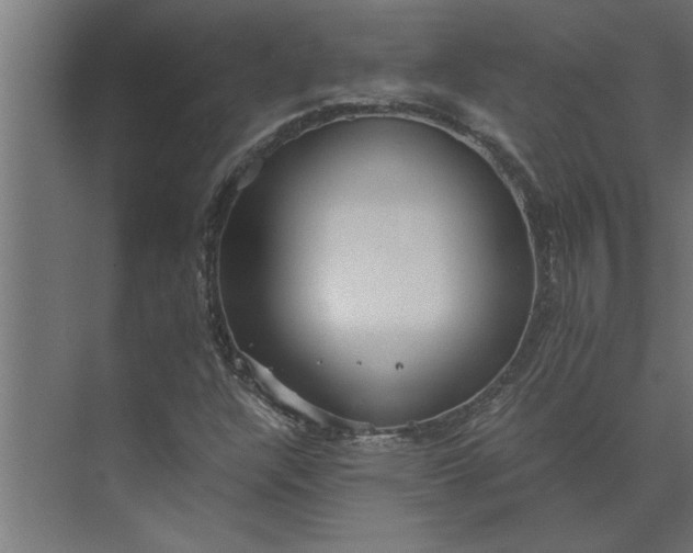 X0000073921304200608251539