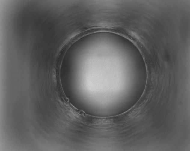 X0000073921307200608251539