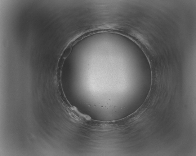 X0000073921308200608251539