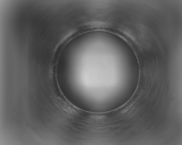 X0000073921309200608251539