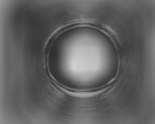 X0000073921310200608251539