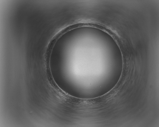 X0000073921311200608251539