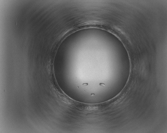 X0000073921313200608251539