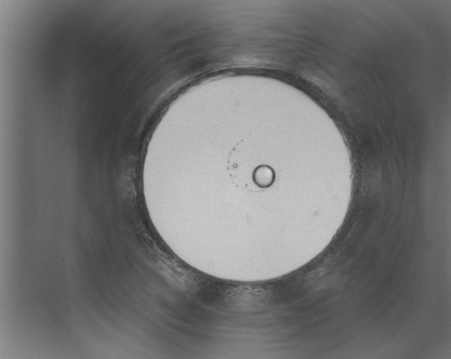 X0000073921314200608251539