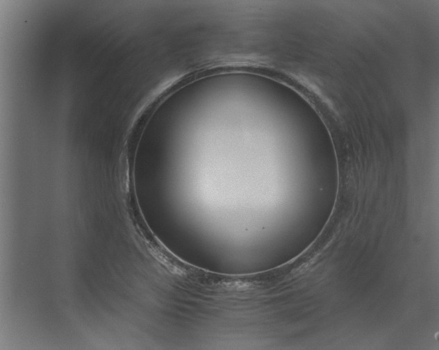 X0000073921317200608251539