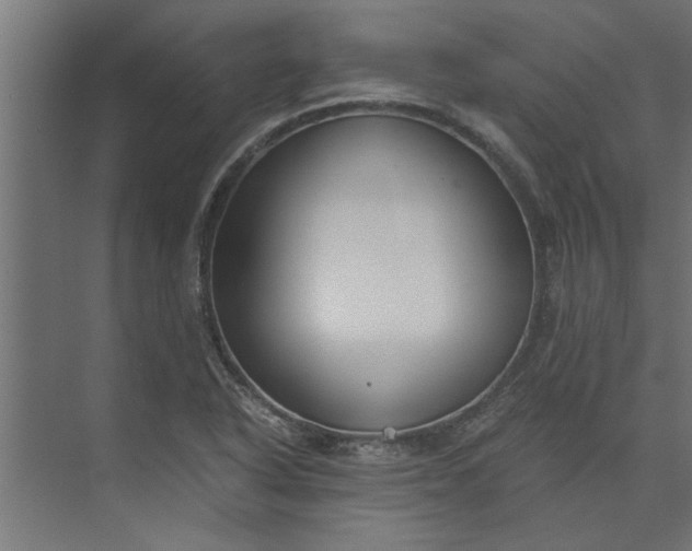 X0000073921318200608251539