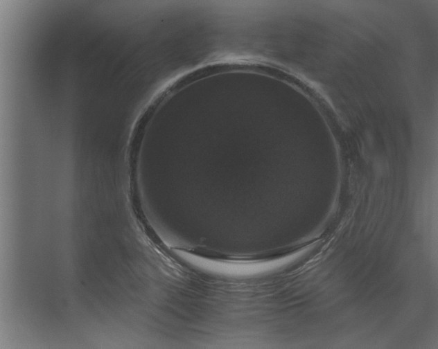 X0000073921319200608251539