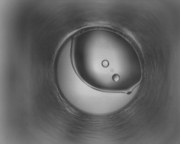 X0000073921320200608251539