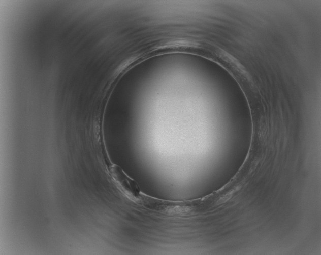 X0000073921321200608251539