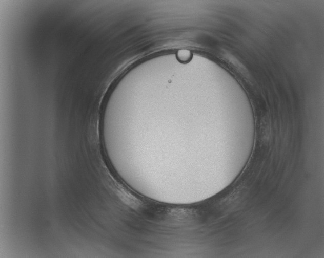 X0000073921322200608251539