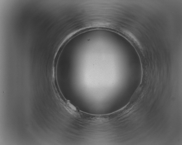 X0000073921324200608251539