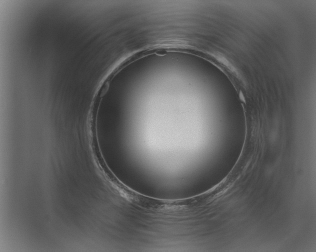 X0000073921325200608251539