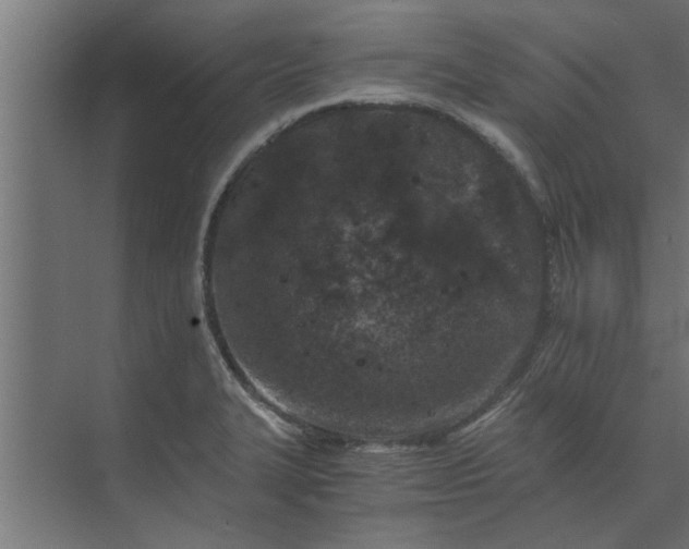 X0000073921327200608251539