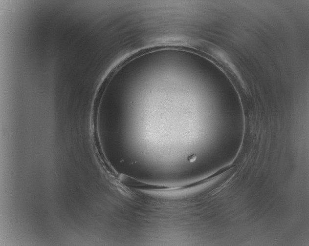 X0000073921328200608251539