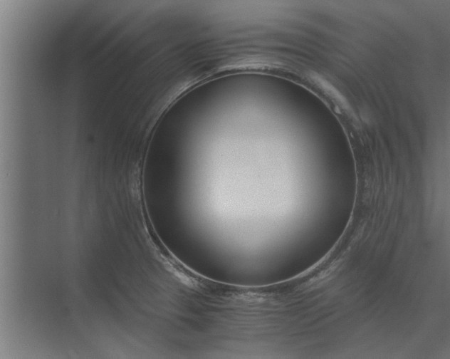 X0000073921329200608251539