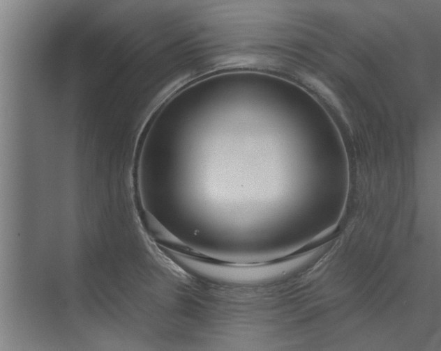 X0000073921330200608251539