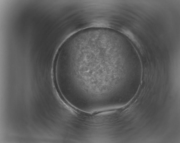 X0000073921331200608251539