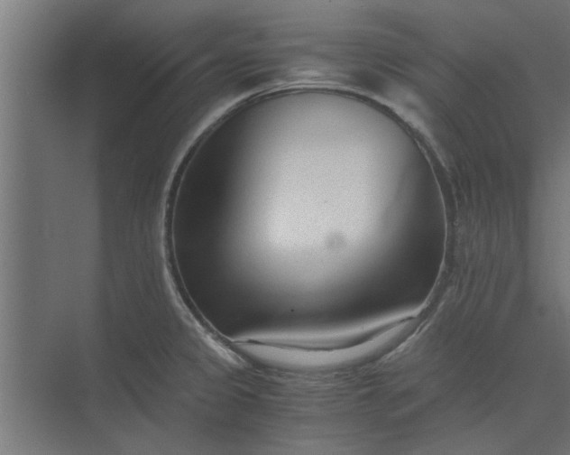 X0000073921333200608251539